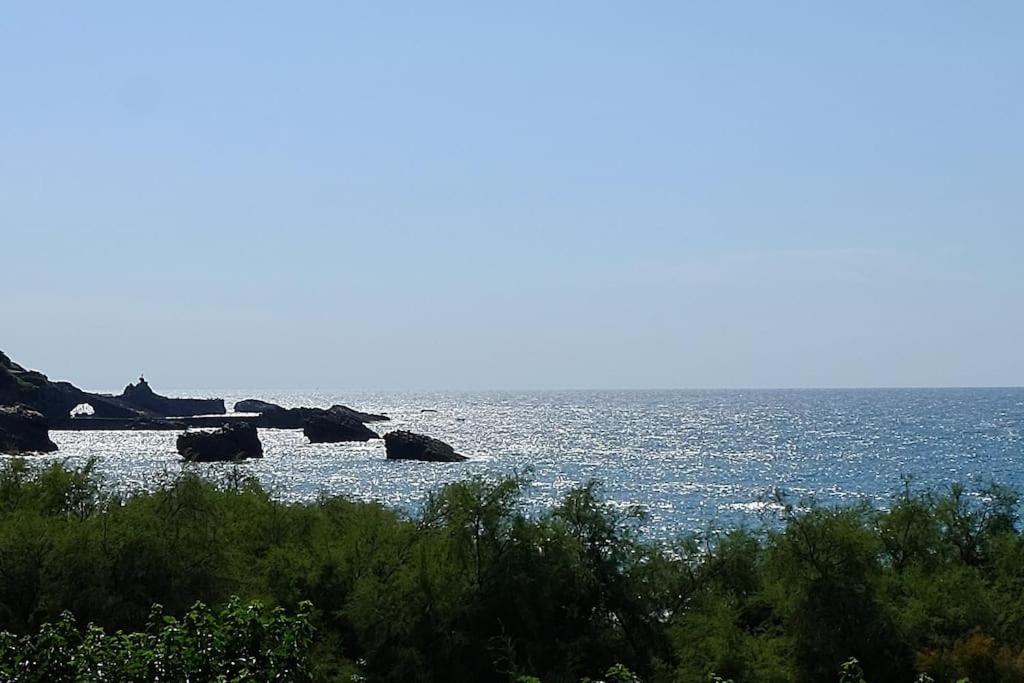 Appartement Le Sahel - Vue Imprenable Sur L'Ocean Биариц Екстериор снимка